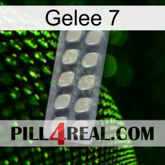 Jelly 7 08